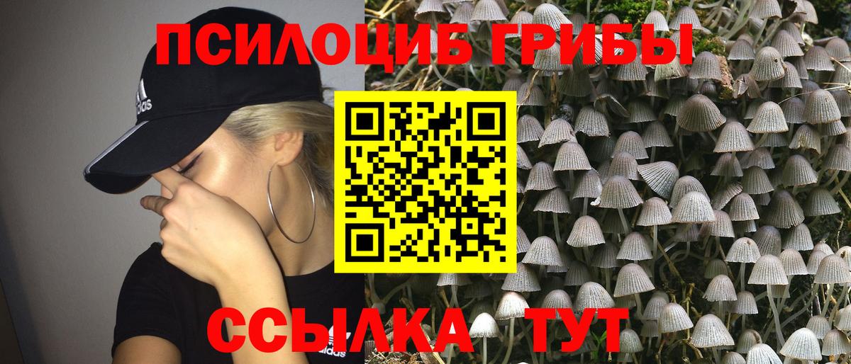 Галлюциногенные грибы ЛСД Дальнереченск